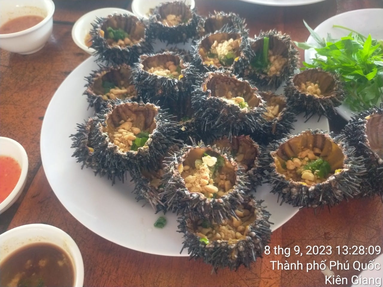 ĐÔNG ĐẢO TRAVEL - ☎ 0989774307 Ms. Chi__ zalo phone viber telegram whatsApp (10)