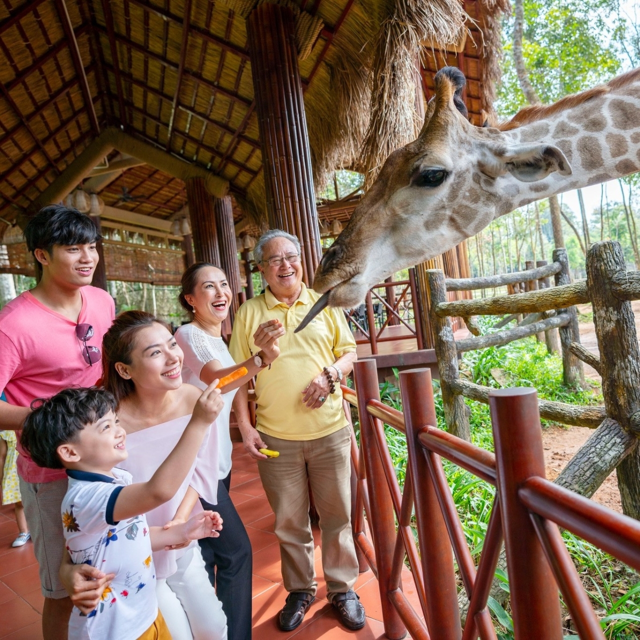  VINWONDER-SAFARI-PHU-QUOC-𝐑𝐄𝐒𝐎𝐑𝐓-DONG-DAO-0989774307 (7)